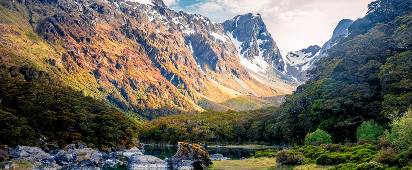 newzealand citizenship benefits